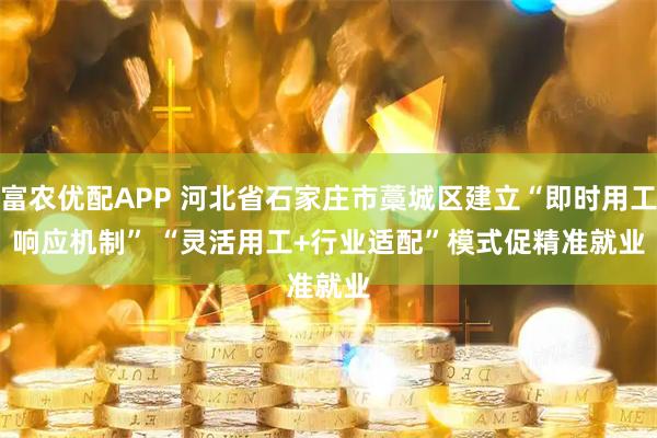 富农优配APP 河北省石家庄市藁城区建立“即时用工响应机制” “灵活用工+行业适配”模式促精准就业